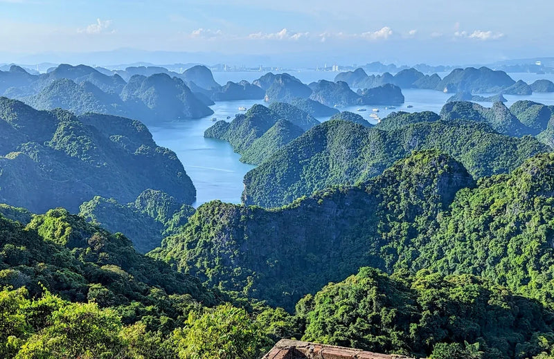 Besuchen Sie den Cat Ba Nationalpark
