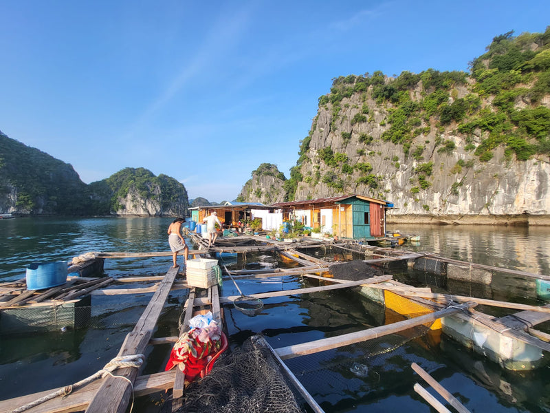 Halong-Bucht