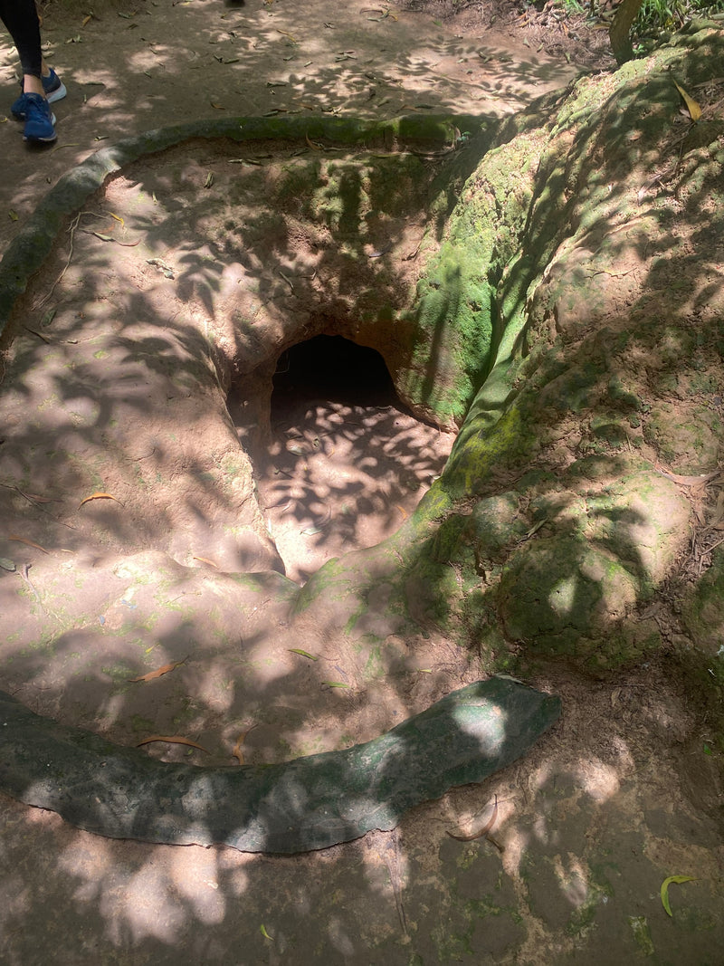 Ein Tunnel innerhalb des Cu Chi Tunnelkomplexes