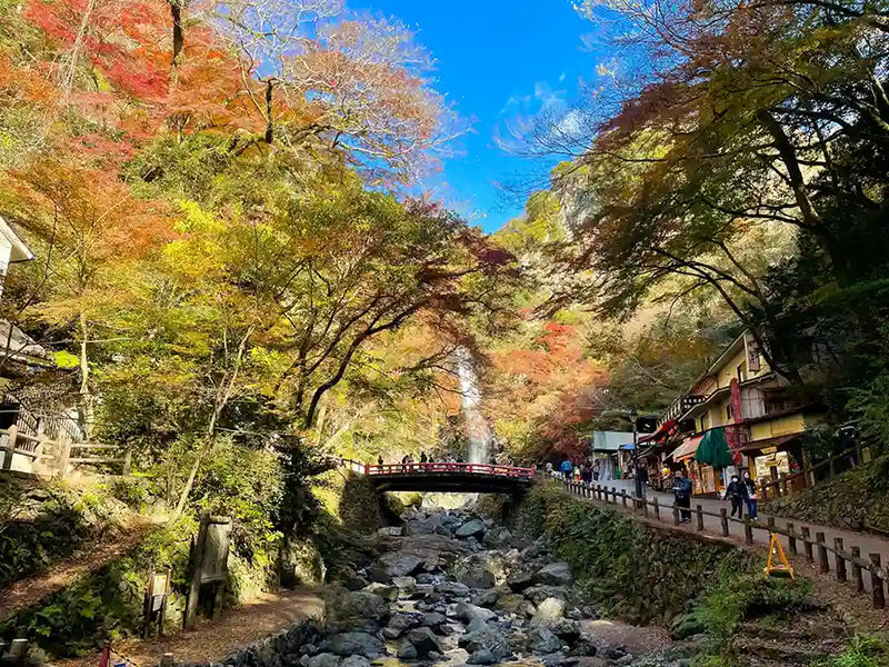 Minoh Park in autumn
