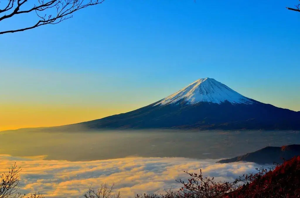 Mount fuji, Japan
