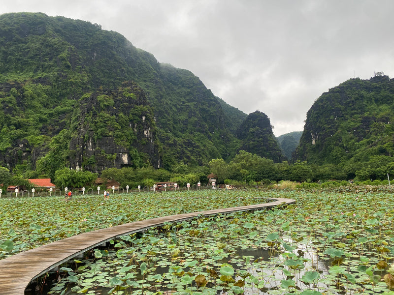 Ein wunderschöner See in Ninh Binh