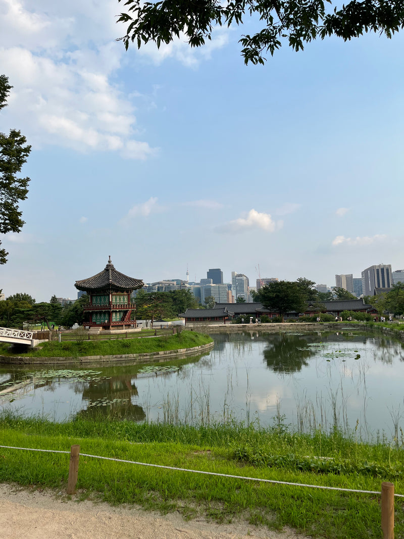 Seoul gyeongbokgungpalace zuidkorea